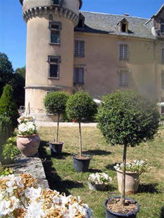 Chateau De Riverie Daire Dış mekan fotoğraf